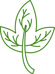 tropical leaf illustration