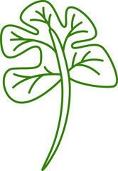 tropical leaf illustration