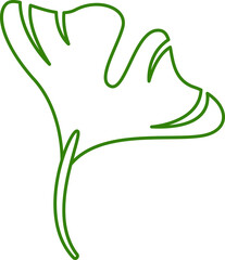 tropical leaf illustration