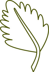 tropical leaf illustration