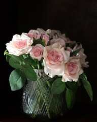 Pink roses in a vase isolated against a black background