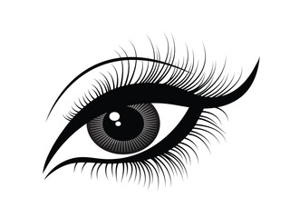 illustration of a eye