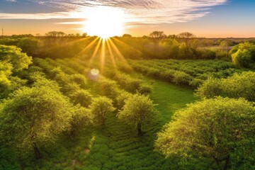 bright and sunny day in a lush green field. Generative AI