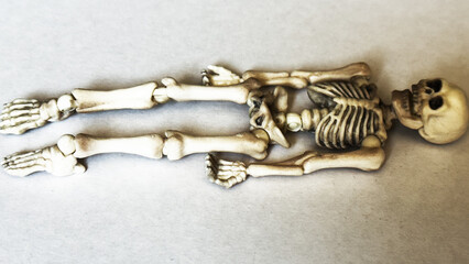 Lying skeleton | 横たわる骸骨 (16:9)