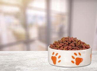 dog bowl full of dry food for pets