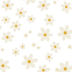 daisy flower white background floral pattern 