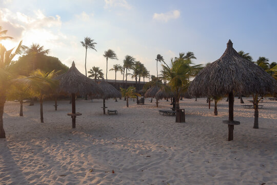 Travel to an Aruba resort by the ocean