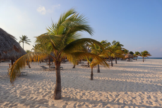 Travel to an Aruba resort by the ocean