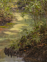 Waterfalls in the forest, streams suitable for adventure travel. Learn nature and preserve the environment.