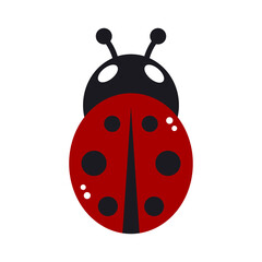 Ladybug vector icon, flat silhouette of a colorful beetle.