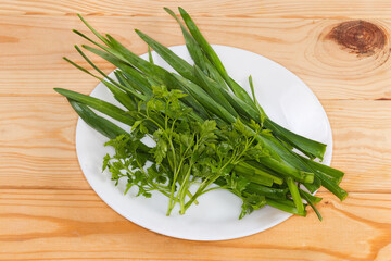 Stems of garlic and parsley on dish on rustic table