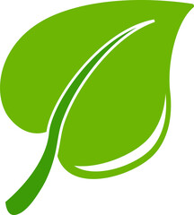 leaf element illustration