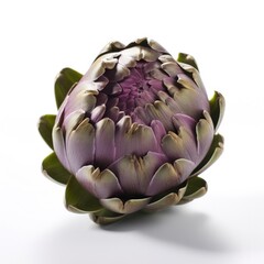 Fototapeta premium Artichoke Isolated on White. Generative AI