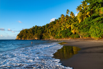 “Anse Couleuvre“ is a remote beach with black sand, rain forest and palm trees in Le Prêcheur on Martinique island in the Caribbean Sea. Idyllic tropical paradise perfect for bathing and snorkeling.