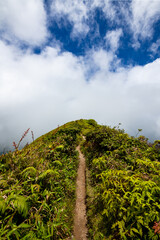 Narrow footpath on the popular hiking trail to the summit of Mount Pelée volcano that erupted in...