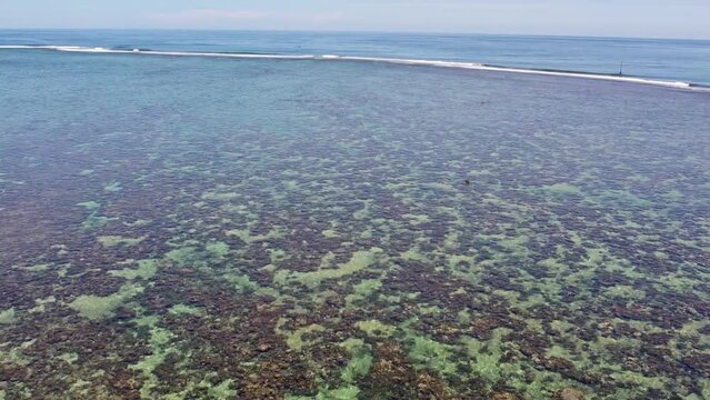 Upwards Aerial Reveal of Coral Reef in Tahitian Lagoon at Teahupo'o on Tahiti Iti