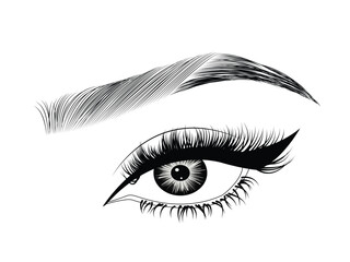 female eye with eyelashes