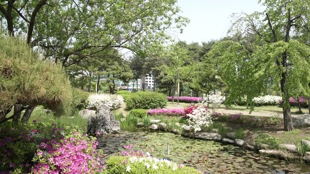 공원 연못