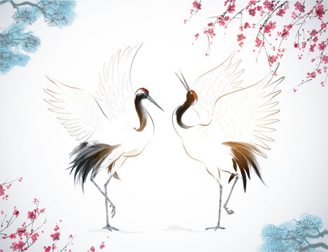 Two dancing crane birds, sakura blossom and pine tree branch. Traditional Japanese ink wash painting sumi-e.
