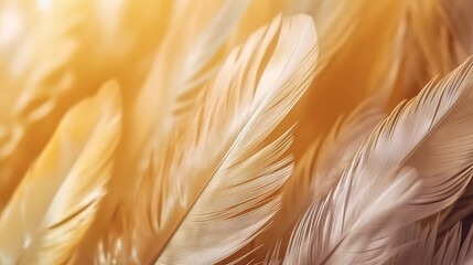 Yellow Feathers Pastel Color Background