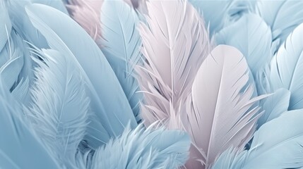 Blue Feathers Pastel Color Background 