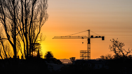 Silhouette image of a construction crane at sunrise. Auckland. - obrazy, fototapety, plakaty
