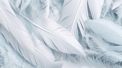 Feathers Pastel Color Background 