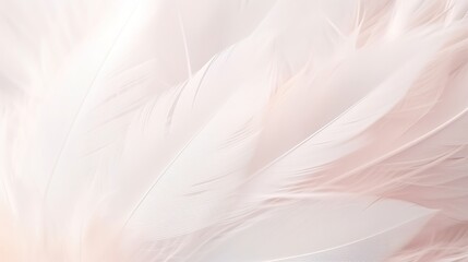 White Feathers Pastel Color Background 