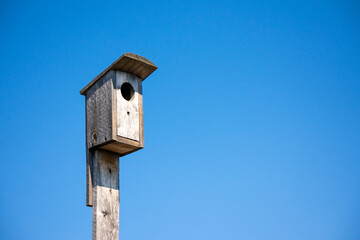 A birdhouse in dry weather under the dramatic sky during sunset time.