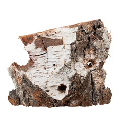 Thick birch bark. Irregular shape, texture, nature. Transparent background.