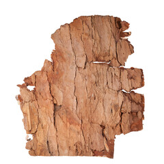 Brown bark. Nature, texture, irregular shape. Transparent background.