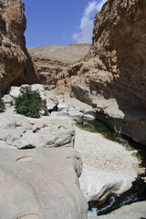 Felsen, Wasser und Büsche im Wadi Bani Khalid im Oman	