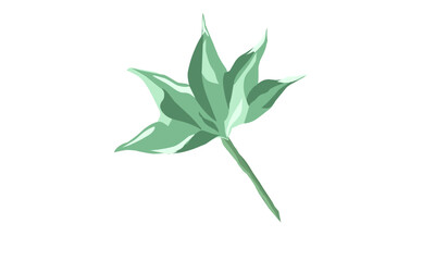 Leaf illustration with color gradations. A leaf isolated on white background 