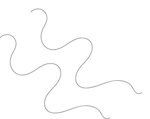 Graceful Intricacies: Delicate Black Line Patterns on White Background