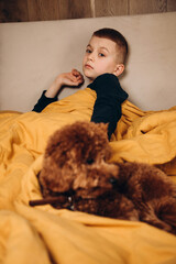 The boy sits on the yellow bad with his dog, a red poodle. The boy plays with his dog. Front view