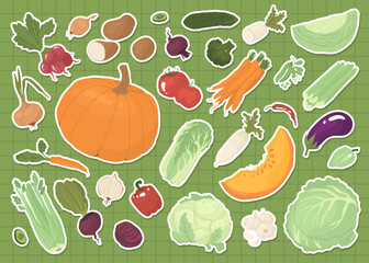Set stickers with vegetables after harvest. Farm products, organic farming. Different types of vegetables. Cruciferous, pacholic, root crops. Vector illustration for farmers and food markets.