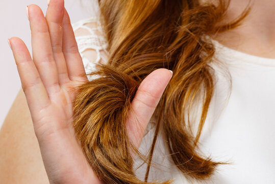 Woman long healthy brown hair ends, detail view