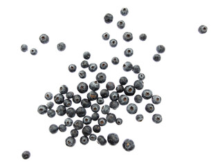 Ripe blueberries isolated on white background.