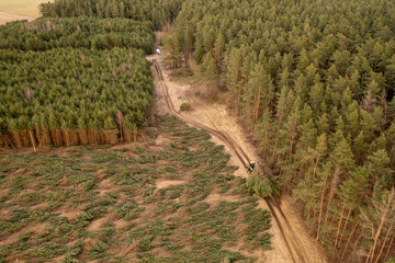Drone photography of forestry machine piking up small trees and transporting