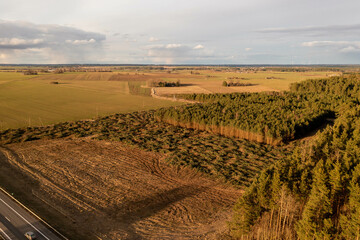 Fototapety na wymiar - Fototapeta24.pl