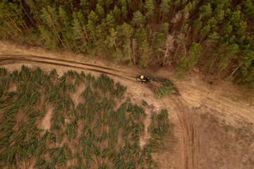 Drone photography of forestry machine piking up small trees and transporting