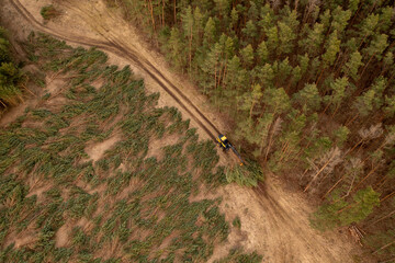 Fototapety na wymiar - Fototapeta24.pl