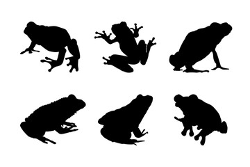 Fototapeta premium Set of silhouettes of frogs