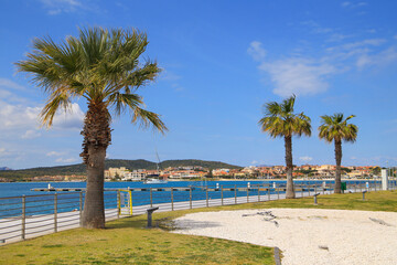 The beautiful bay Golfo Aranci with palm trees - Sardinia