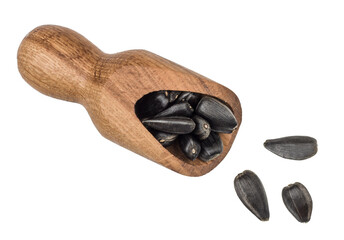 Sunflower seeds isolated on white background, top view