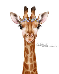 Baby giraffe. Cute giraffe in floral wreath. Floral crown. African animals illustration