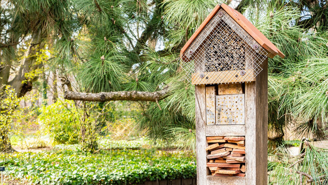 Insect hotel with many houses made of natural materials for various animals that protect the sustainable garden from pests. Insect house close up photo with copy space. DIY garden craft ideas for kids