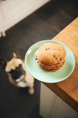 Stack of blueberry pancakes on worktop with dog begging