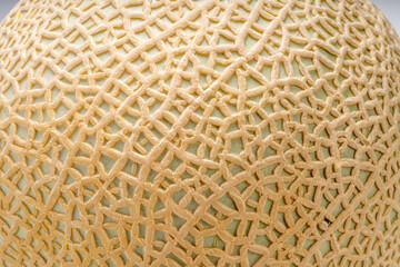 Close Up, texture of Crown Musk Melon Crown Melon skin peel.
