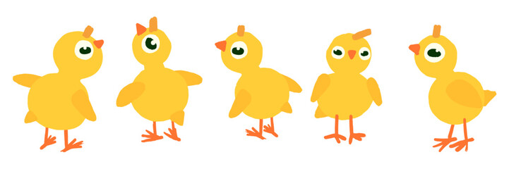 Set of five chickens on a white background, vector illustration